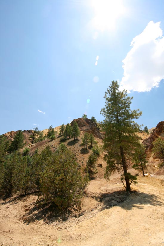 2008 White Family Reunion at Big Rock Candy Mountain, Utah